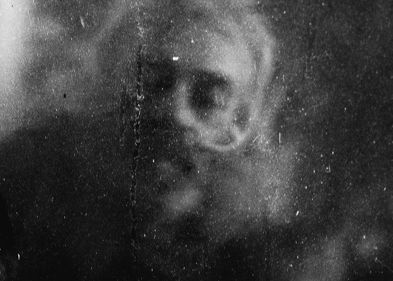 Ingeborg image 4