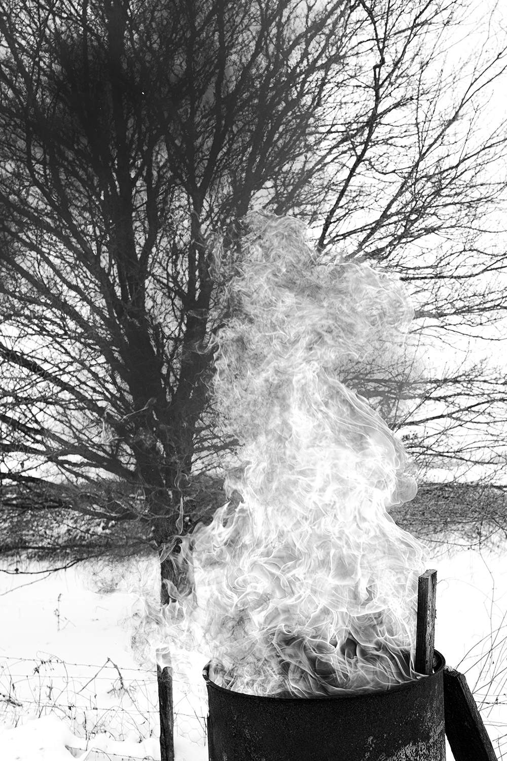 Ingeborg image 5