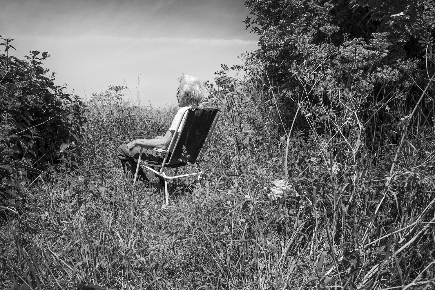 Ingeborg image 8